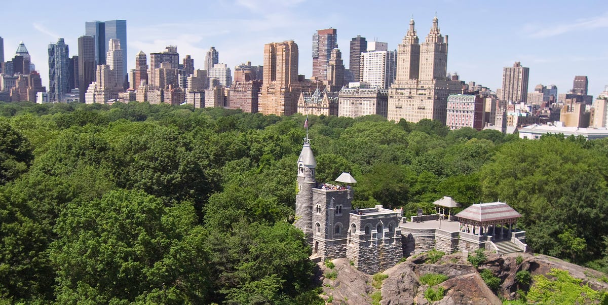 Image result for The Belvedere central park renovation