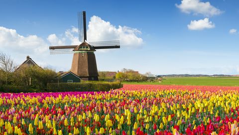 nederland in de lente