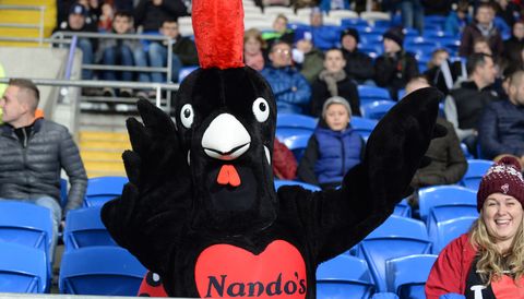 a cardiff city fan dressed as a nandos chicken at the sky bet championship match at the cardiff city stadium photo by simon gallowaypa images via getty images