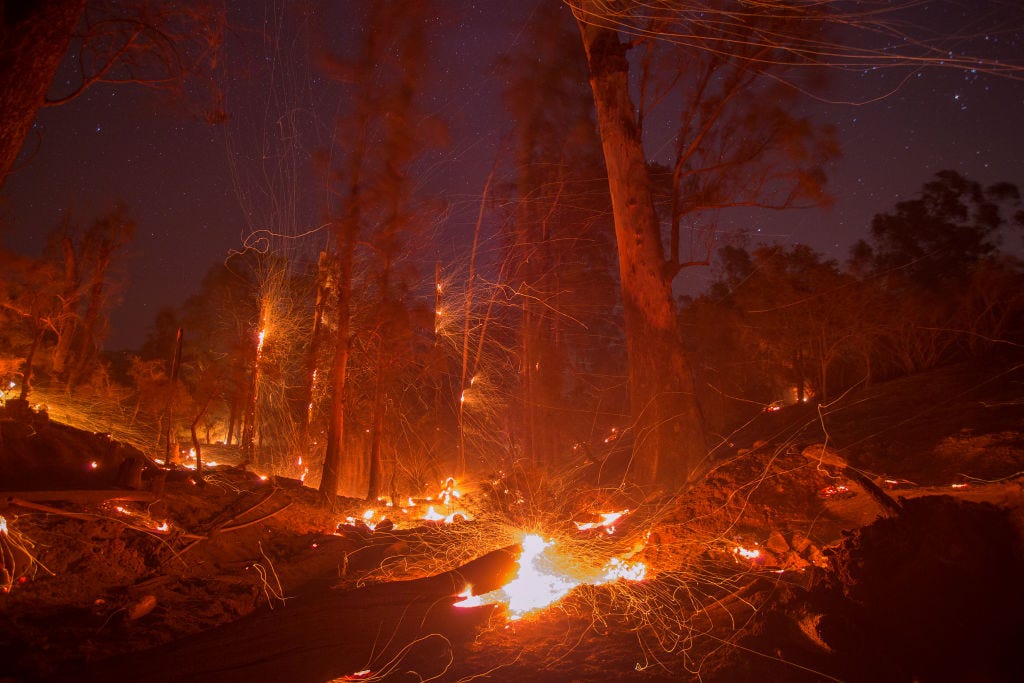 This Gender Reveal Party Resulted In A Massive Wildfire And 220k Fine