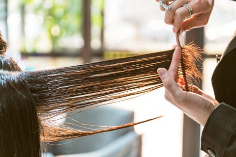 Por qué es conveniente cortarse el pelo y cuánto? - Cuánto cortar el pelo para sanearlo