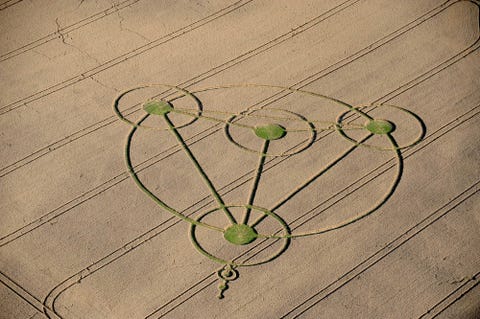 Green, Wire, Plant, Flower, Grass family, Plant stem, Floral design, Wood, Still life photography, Floristry, 