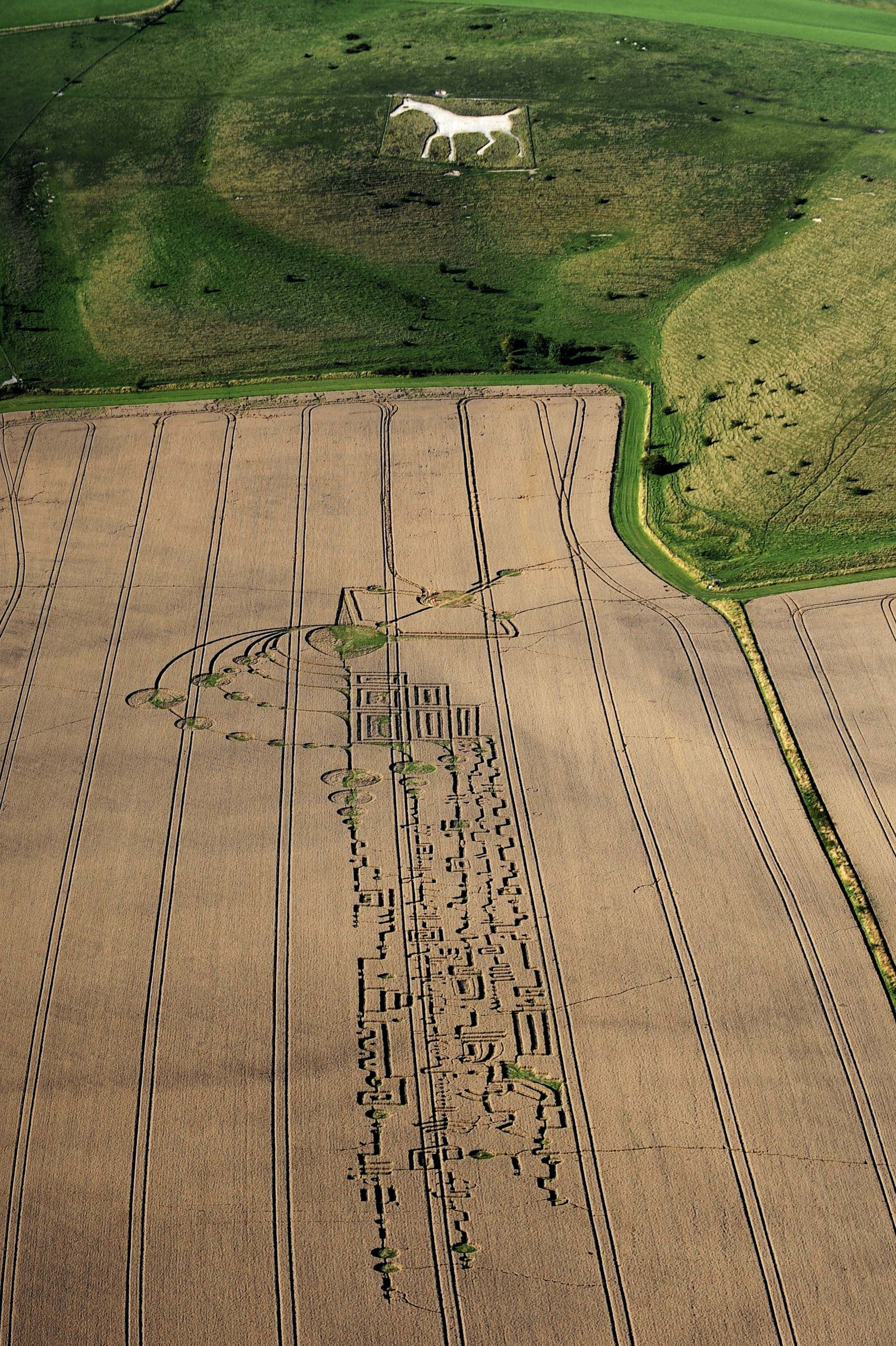 30 Stunning Crop Circles and Corn Mazes Photographed from Above