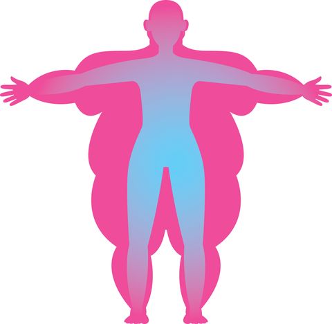 silhouette of a person with excessive and normal body mass vector illustration