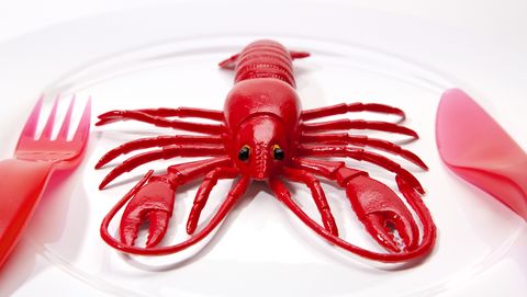Lobster, Homarus, Seafood, Crayfish, American lobster, Invertebrate, Red, Decapoda, Food, Crustacean, 