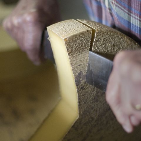 Cutting Swiss mountain cheese