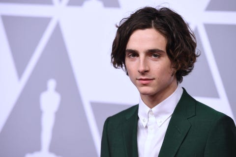 Timothée Chalamet To Play Henry V In Netflix Film 'The King'