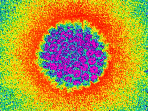 human papillomavirus nhs choices medicament pentru tratarea copiilor cu viermi