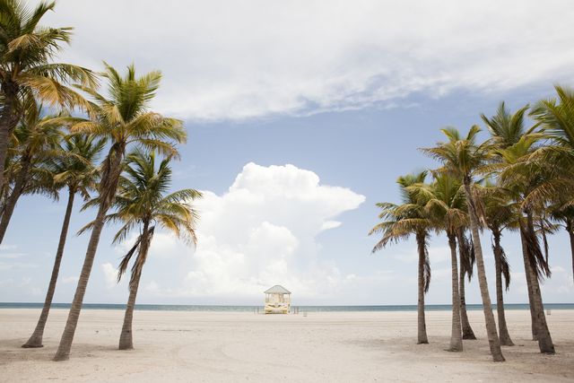 lifeguard stand, palm trees