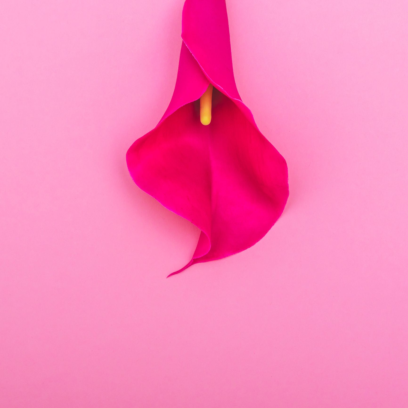 Vulva Cancer Causes Symptoms And Treatment