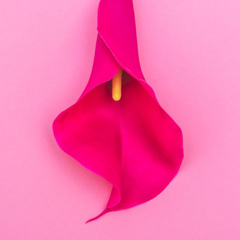 The signs and symptoms of vulva cancer