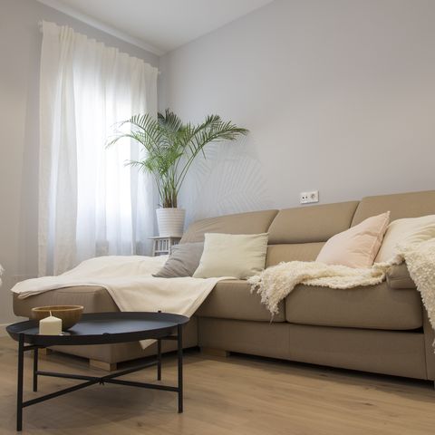 wide and low angle view of modern and comfortable living room with large couch covered blankets and cushions, coffee table, plant, chair and curtains madrid, spain, europe