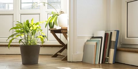 30 Houseplants That Can Survive Low Light Best Indoor Low Light Plants,Kitchen Countertop Paint