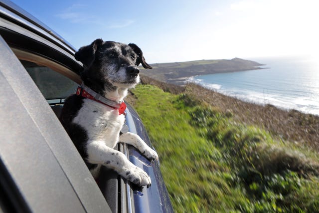 The UK’s most dog-friendly road trips revealed