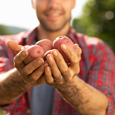 Hands holding potatoes