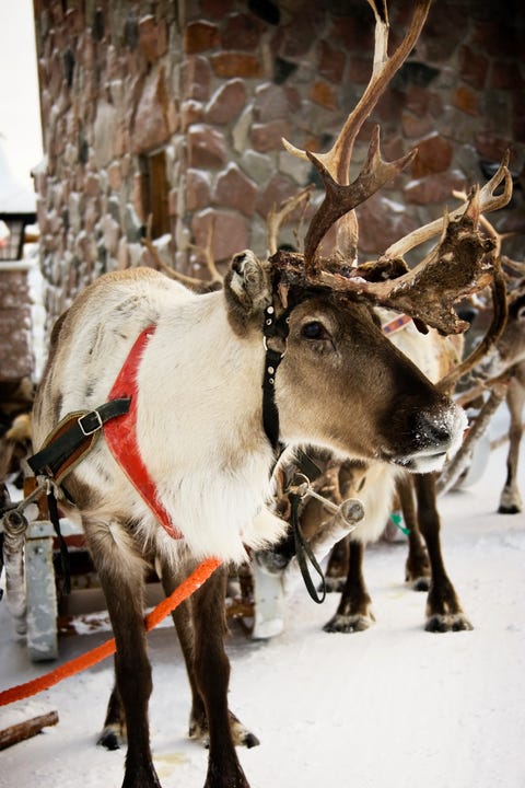 lapland finland lapland finland
