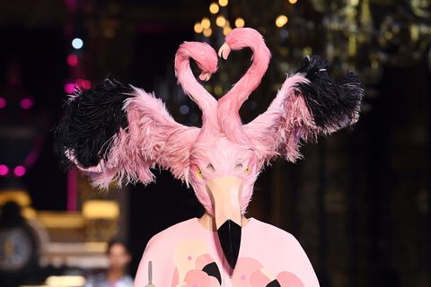Pink, Performance, Performing arts, Water bird, Event, Feather, Bird, Dance, Flamingo, Stage, 