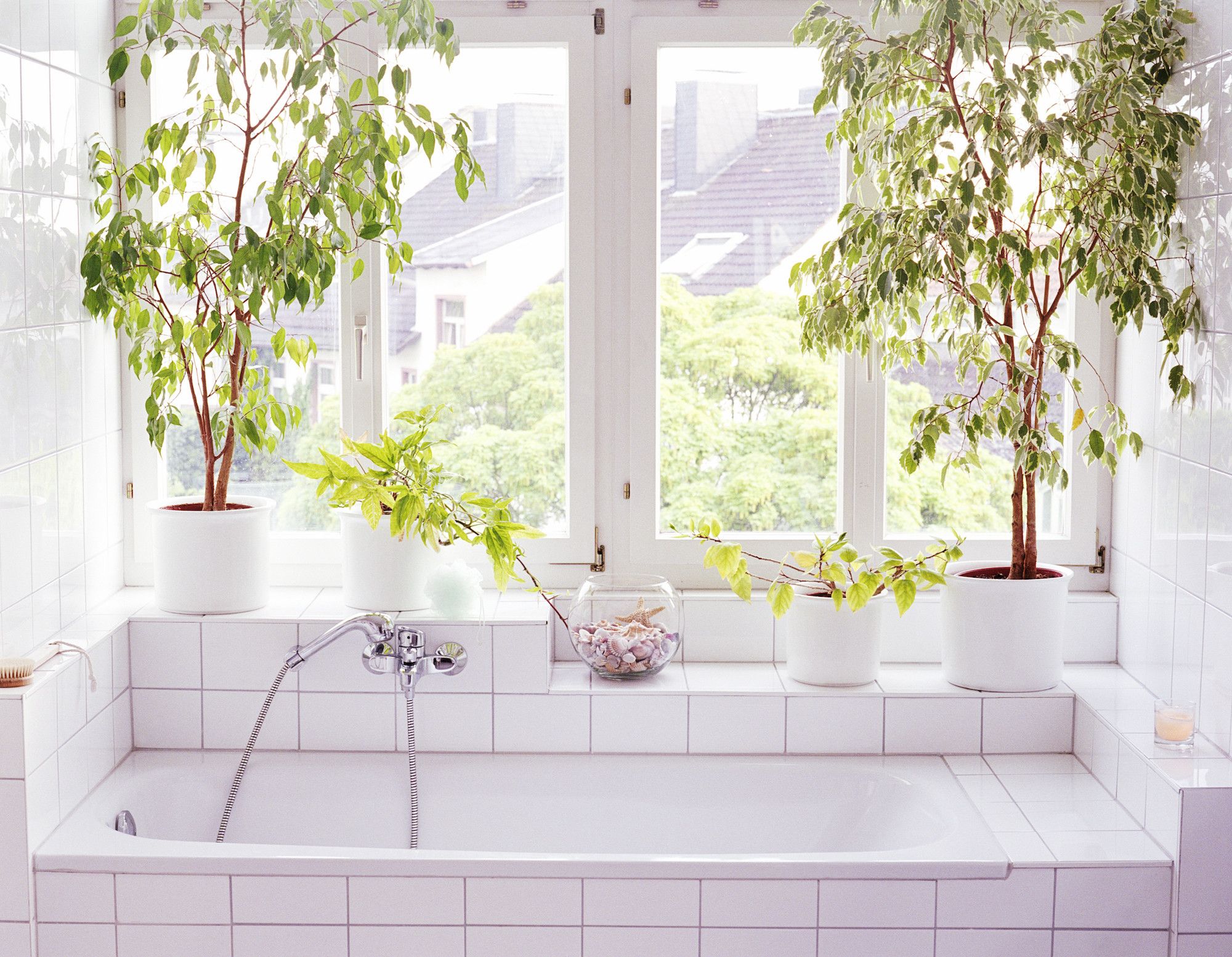 bathroom with plants