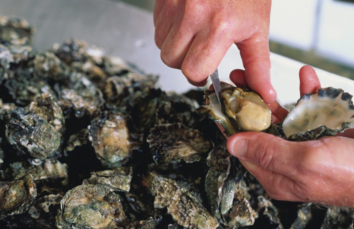 A Texas Woman Contracted A Fatal Flesh Eating Bacteria From Oysters 