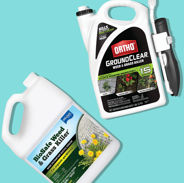 8 Best Weed Killers of 2021