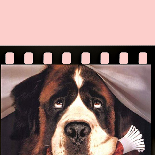 Kutta Ladki Wala Blue Picture - 20+ Best Dog Movies to Watch - Best Movies About Dogs to Stream