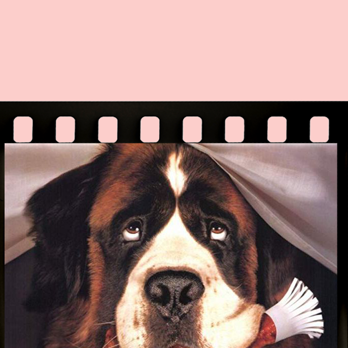 686px x 686px - 20+ Best Dog Movies to Watch - Best Movies About Dogs to Stream