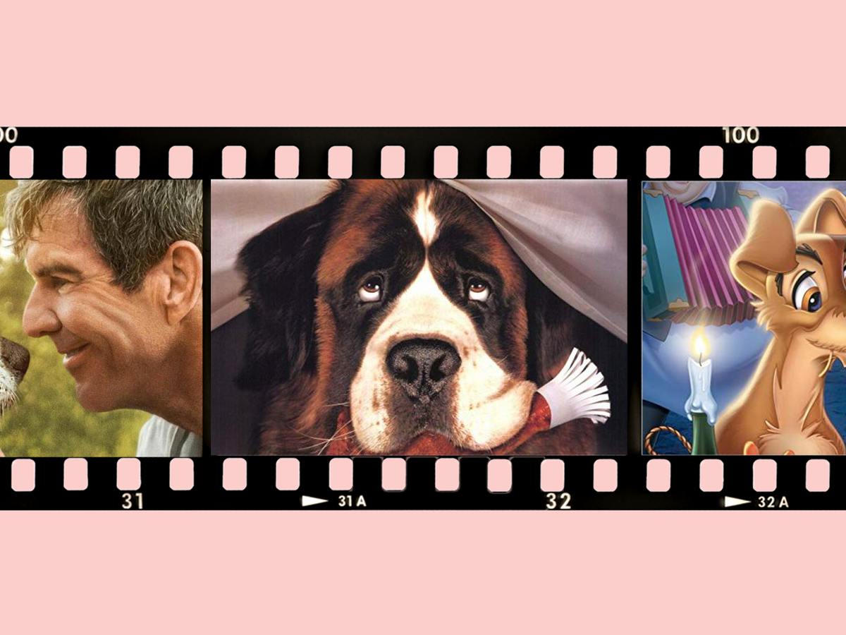 Xxxii Videos Dog Girls - 20+ Best Dog Movies to Watch - Best Movies About Dogs to Stream