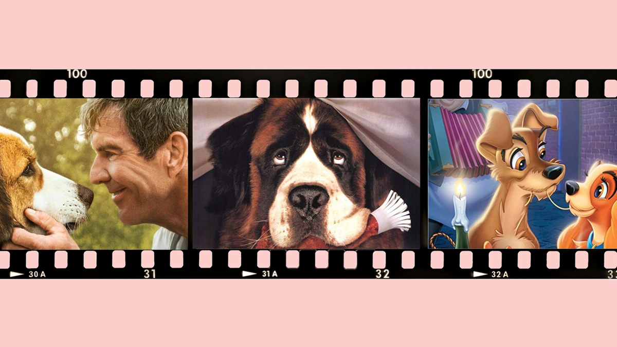 Cute Baby Xxxii - 20+ Best Dog Movies to Watch - Best Movies About Dogs to Stream