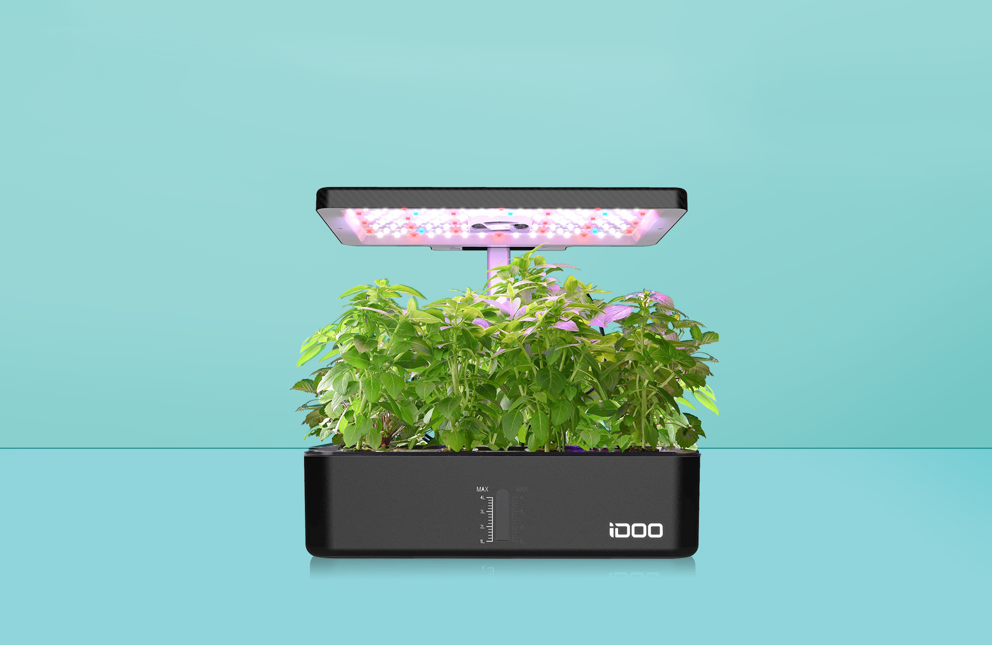 Built Your Indoor Garden Hydroponics Growing System,Support Indoor Grow,herb Garden kit Indoor X-Small-Black Grow Smart for Plant 