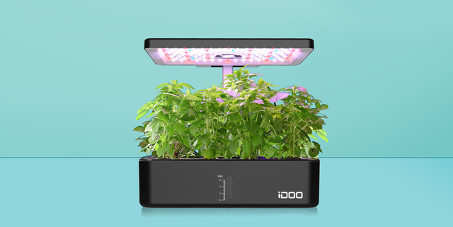 9 Best Indoor Herb Garden Kits Of 2021, Indoor Herb Garden Kit With Light Australia