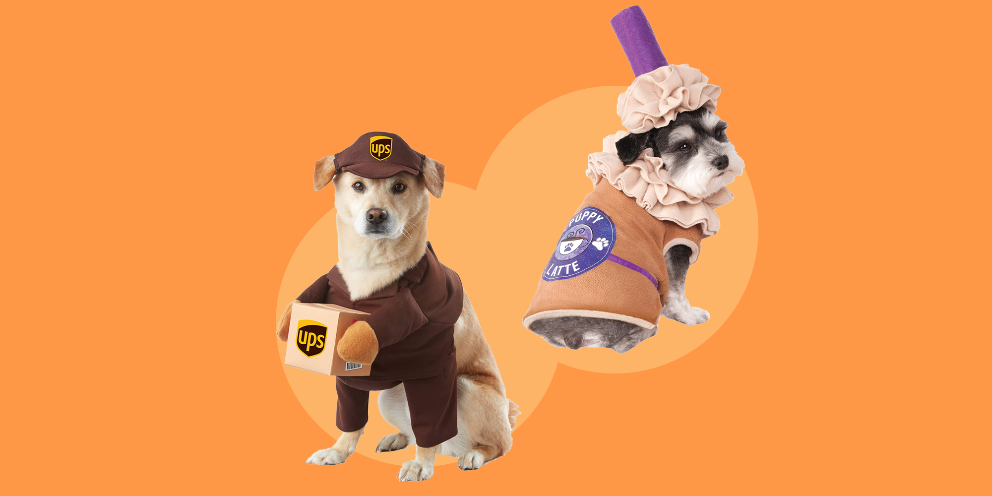Scary Dog Costumes For Halloween