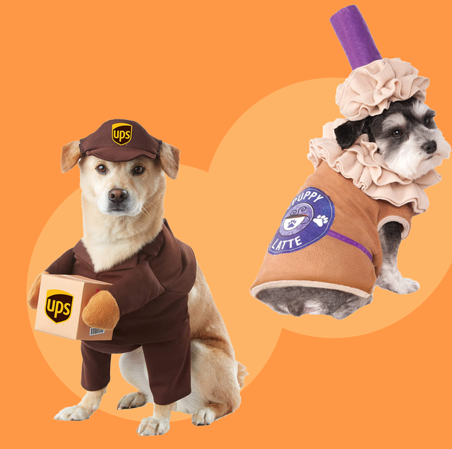 35 Best Dog Costumes for Halloween 2021 - Cute & Funny Halloween Costume Ideas for Puppies