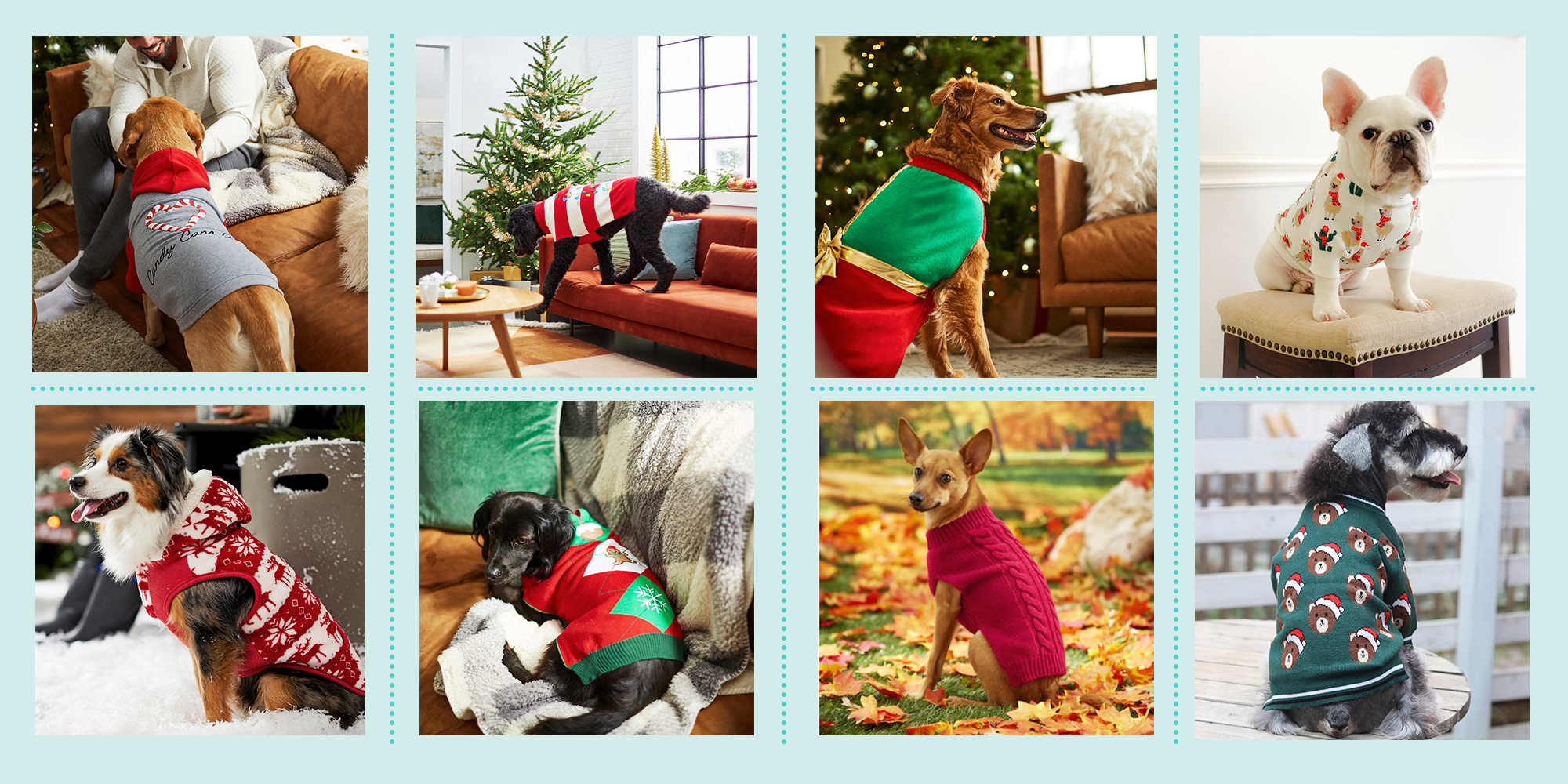 Multicolor Fun Christmas Holiday Outfits & Costumes Shetland Sheepdog Dog Santa Claus Ugly Christmas X-Mas Throw Pillow 18x18