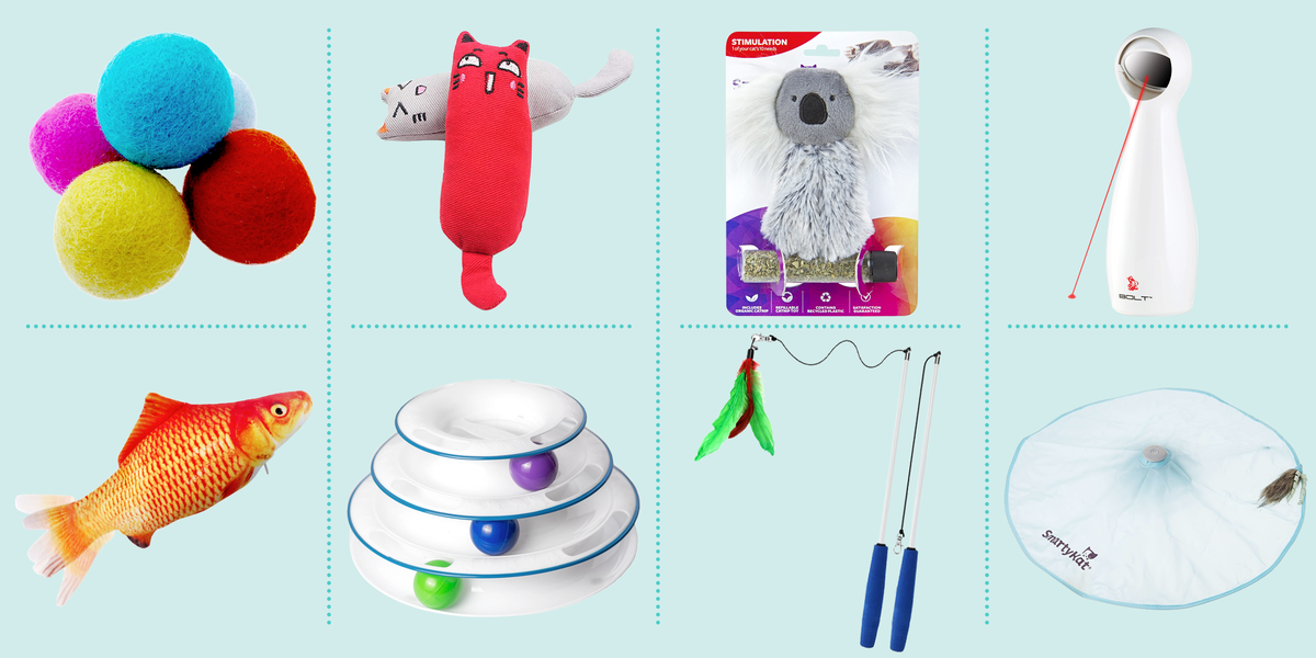 cat toys