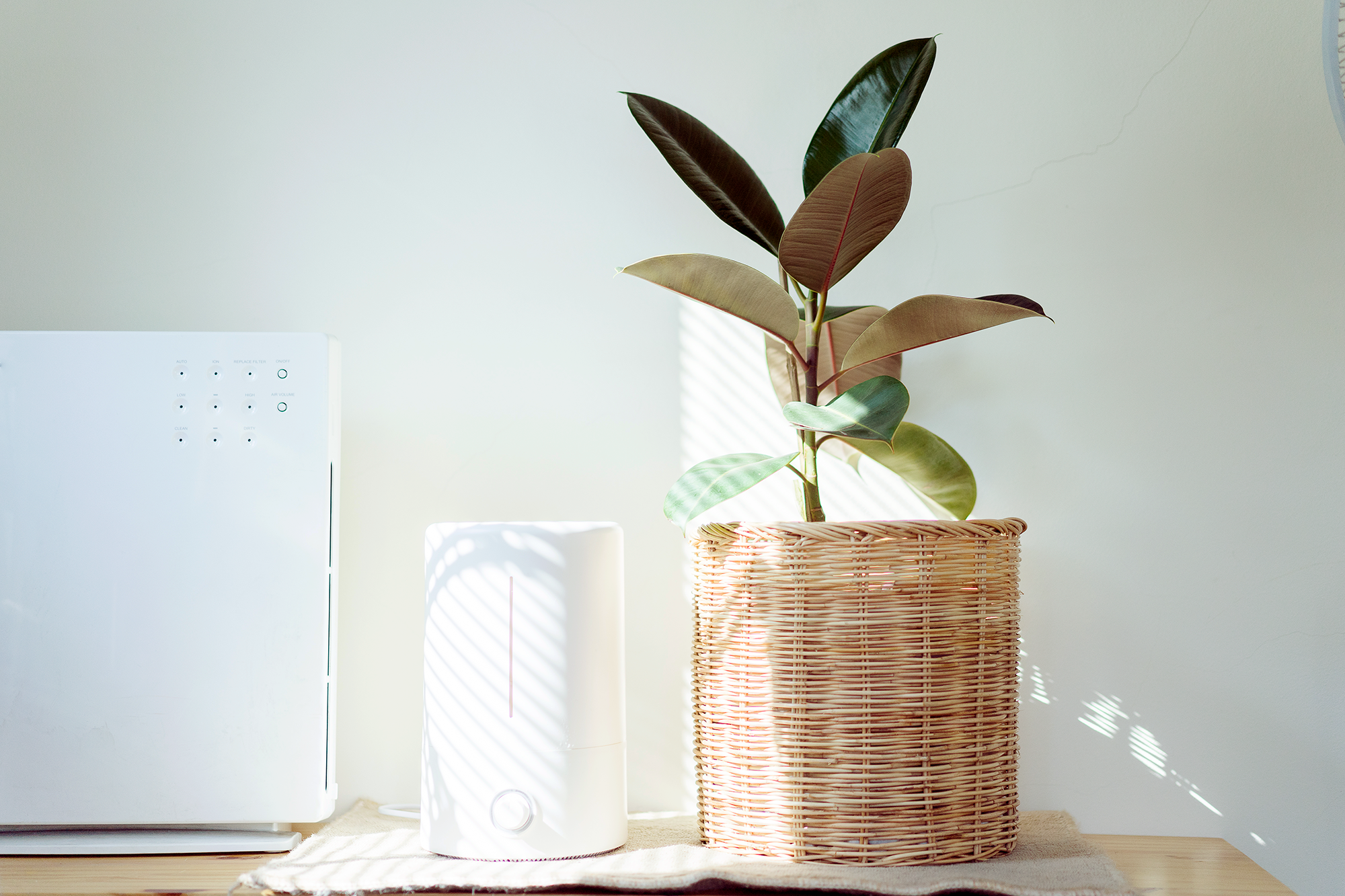 do air purifiers work for dust