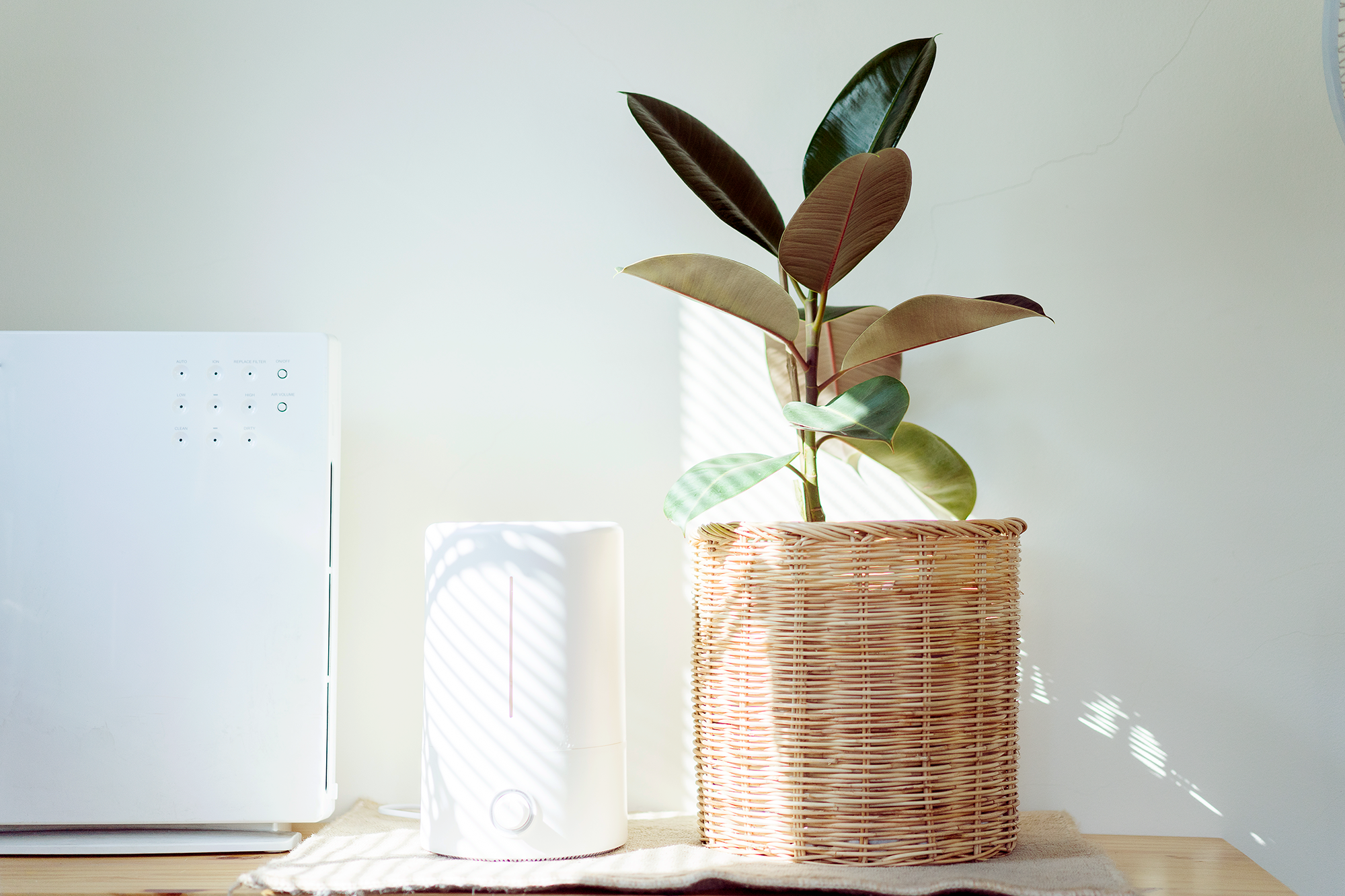 hepa air filter for allergies