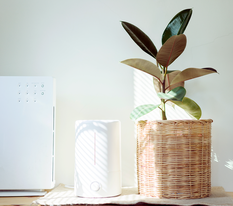 Do Air Purifiers Work An Expert Explains If Air Purifiers Really Help With Allergies,Low Budget 2 Bedroom House Designs Pictures
