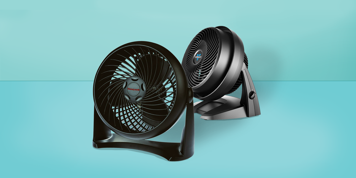 10 Best Fans of 2022 - Top-Rated Cooling Electric Fans