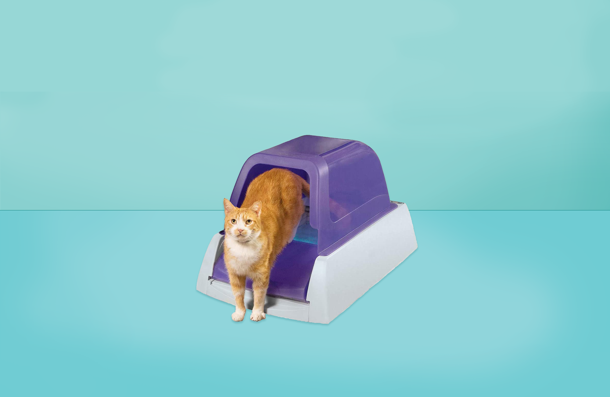 Covered Cat Litter Box With Lid Scoop Cleaning Grate Kit Cats Pet Box Durable 