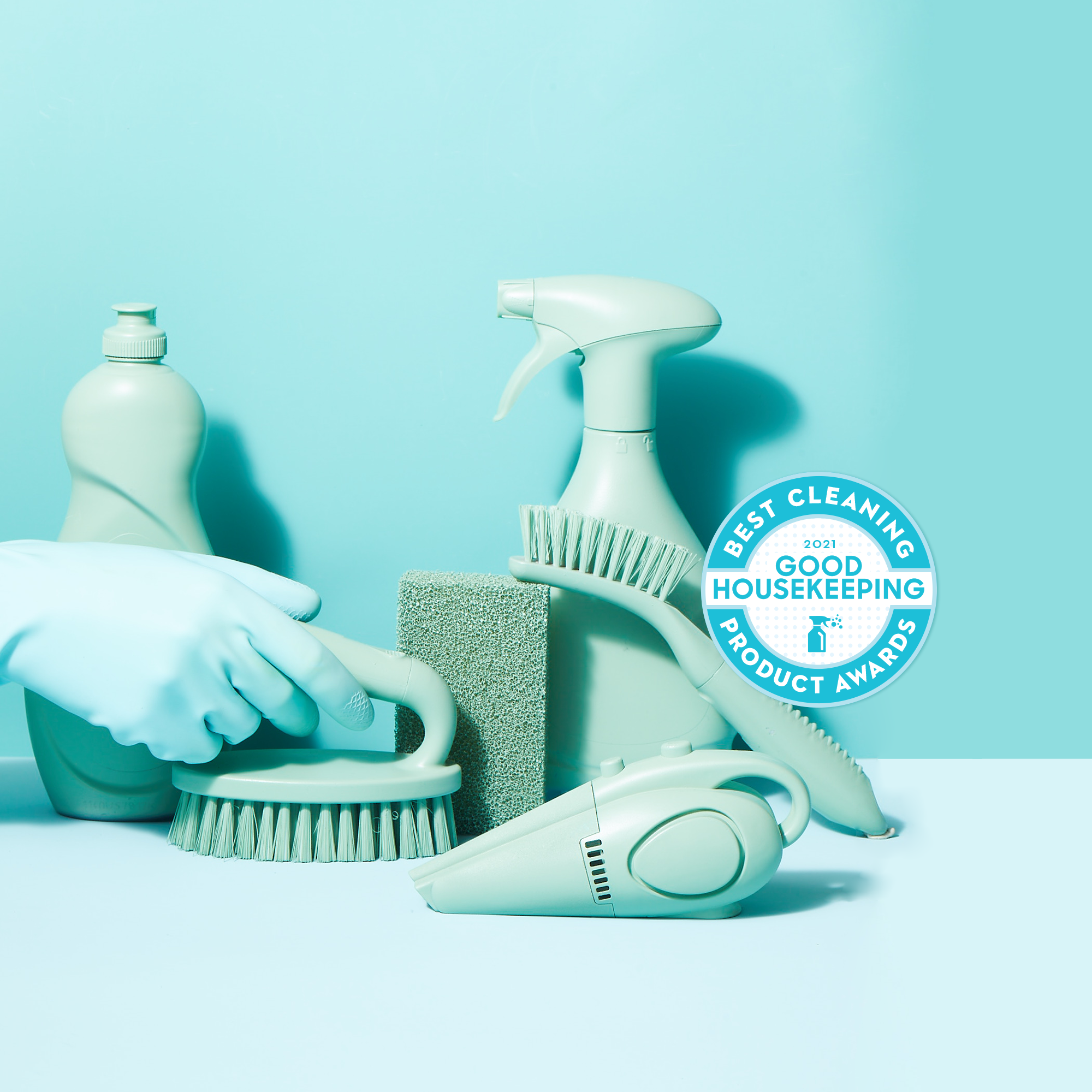 Good Housekeeping Cleaning Awards 2021 digmydogDesign