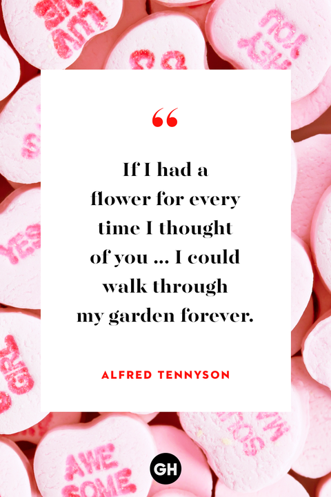 45 Cute Valentine's Day Quotes - Best Romantic Quotes ...