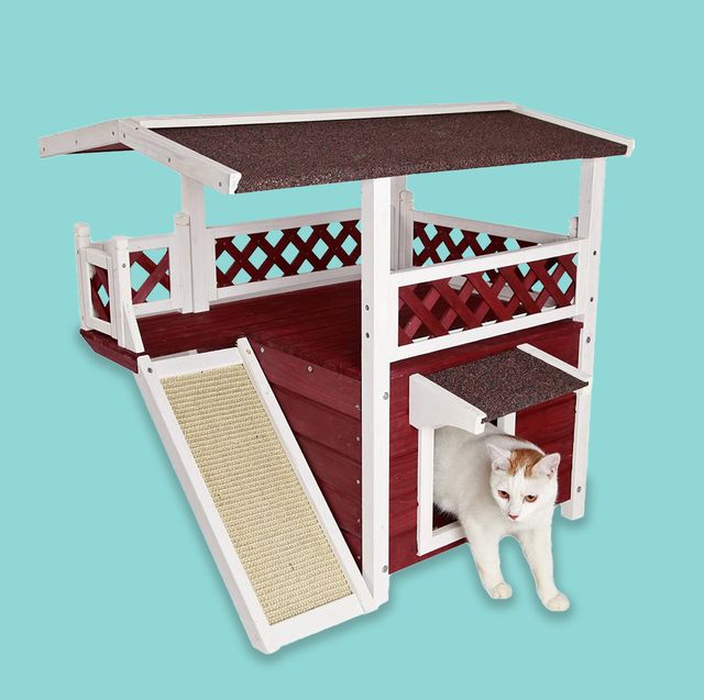 6 outdoor cat houses to keep cats warm all winter long