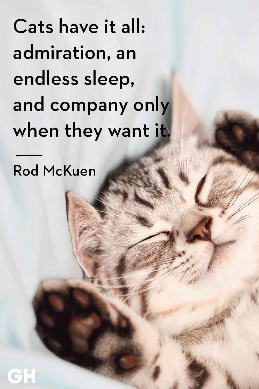 25 Best Cat Quotes That Perfectly Describe Your Kitten Funny And