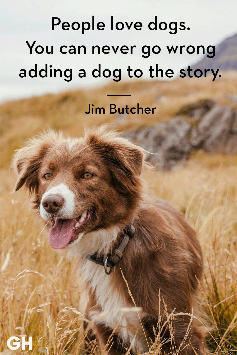 30 Dog Quotes That Every Animal Lover Will Relate To Best Dog Quotes