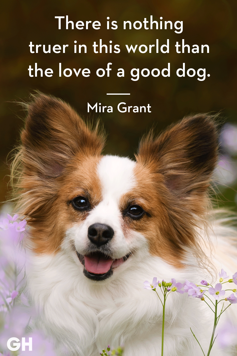 30 Dog Quotes That Every Animal Lover Will Relate To Best