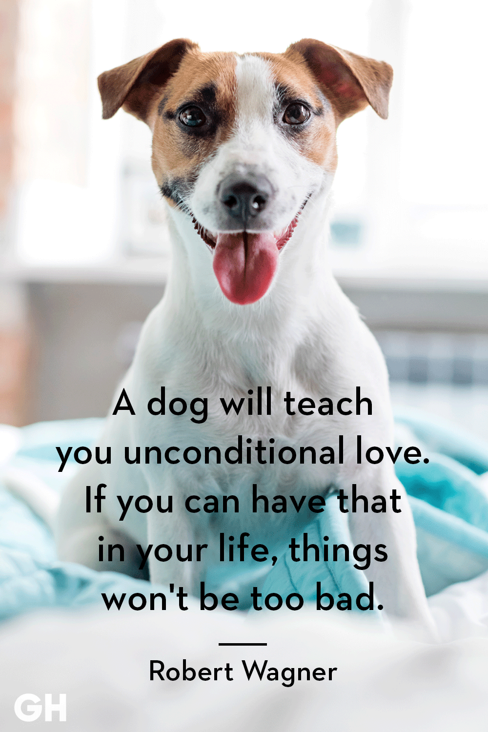 Birthday Quotes For Dog Lovers
