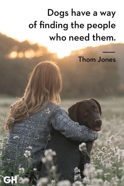 30 Dog Quotes That Every Animal Lover Will Relate To - Best Dog Quotes