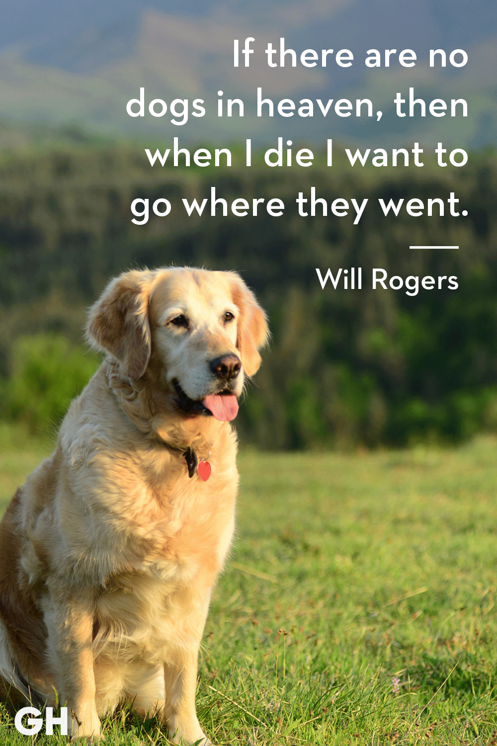 30 Dog Quotes That Every Animal Lover Will Relate To Best Dog Quotes