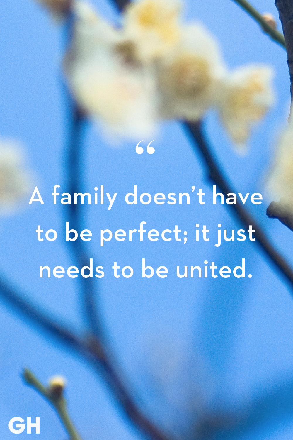 45 Family Quotes Short Quotes About The Importance Of Family
