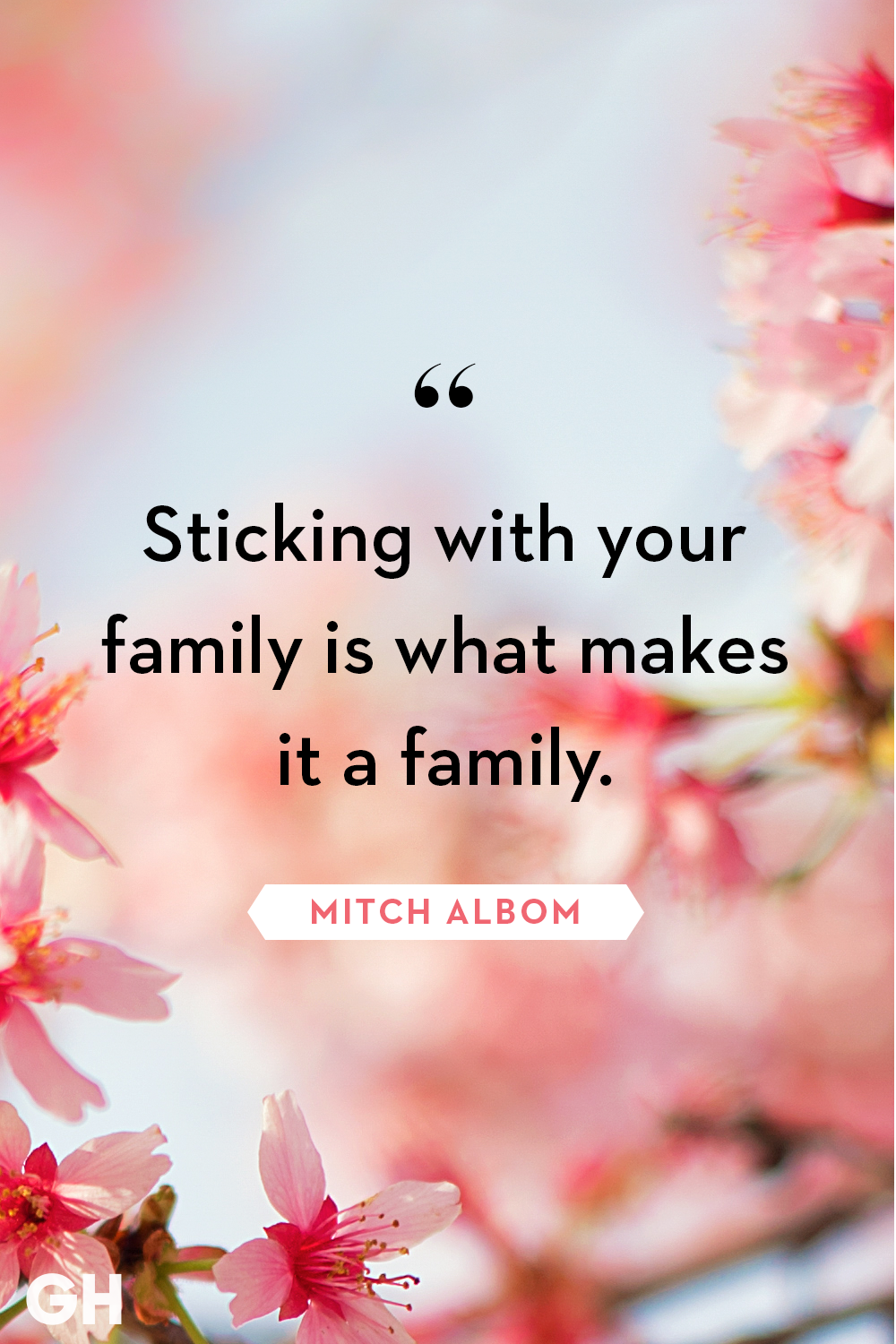 meaningful-quotes-about-family-to-share-with-your-relatives-this-season